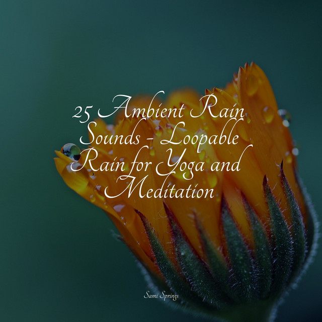 25 Ambient Rain Sounds - Loopable Rain for Yoga and Meditation - Album ...