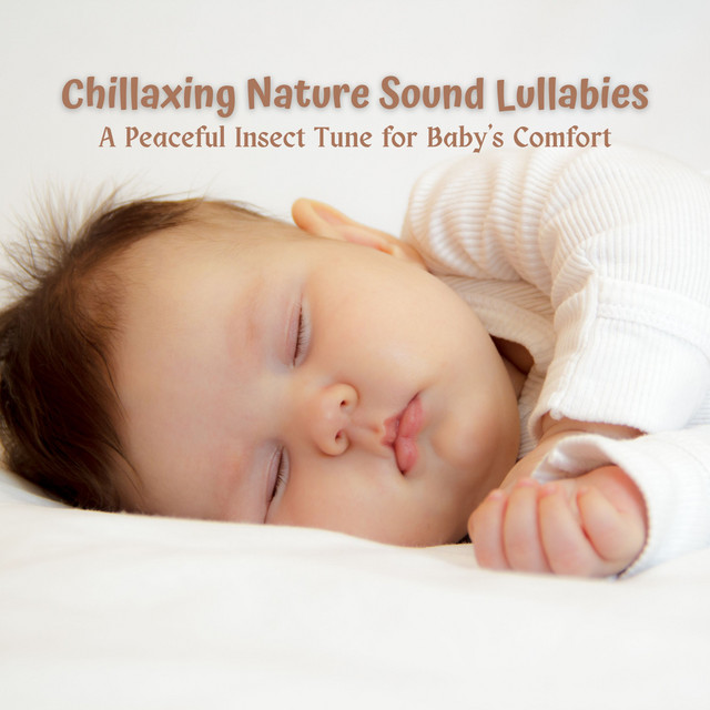 Chillaxing Nature Sound Lullabies: A Peaceful Insect Tune for Baby's ...
