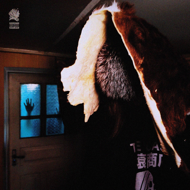 USHANKA cover art