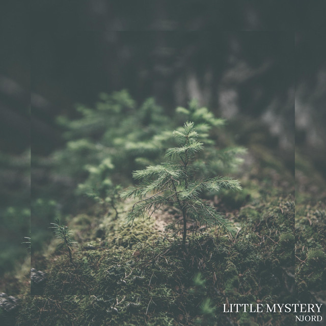 Little Mystery cover art