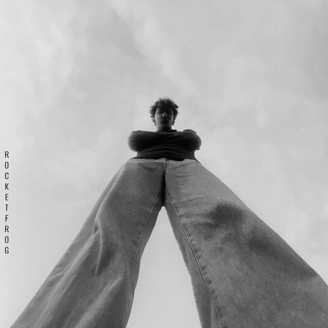 Rocketfrog cover art