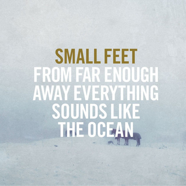 From Far Enough Away Everything Sounds Like The Ocean cover art