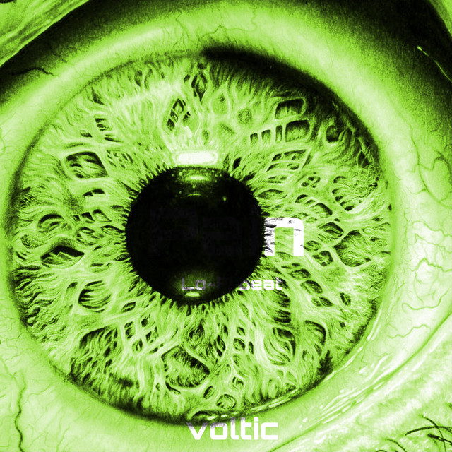 Voltic artist photo
