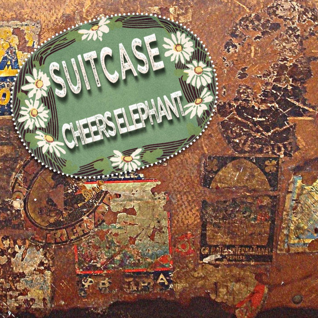 Suitcase cover