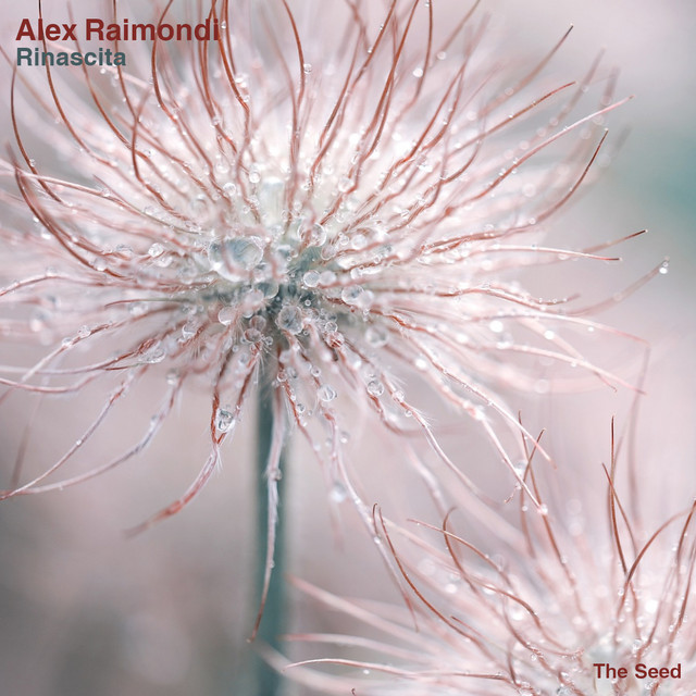Raimondi - Original Mix cover art
