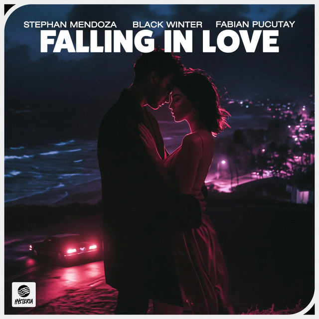 Falling In Love - Extended Mix album art