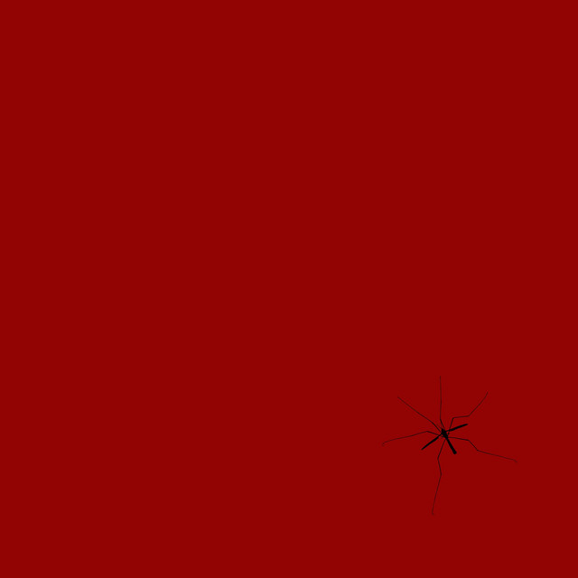 Moskito cover art