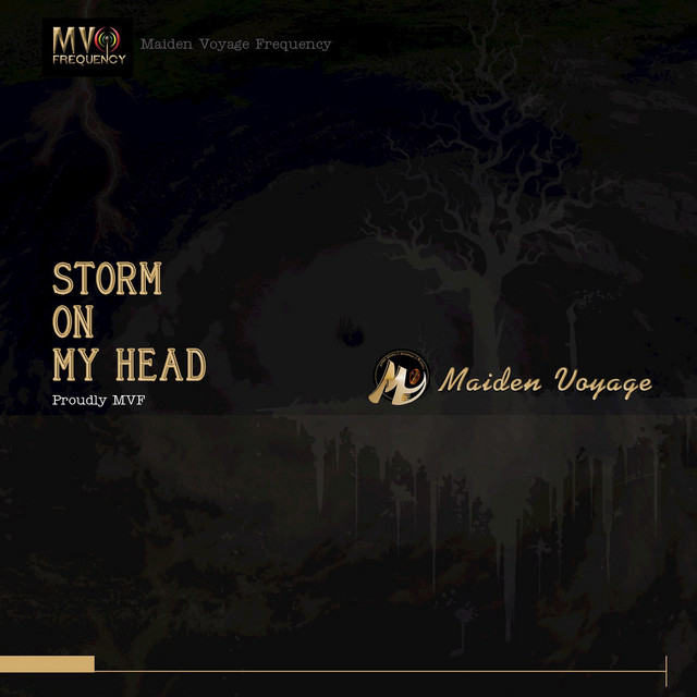 Storm On My Head cover