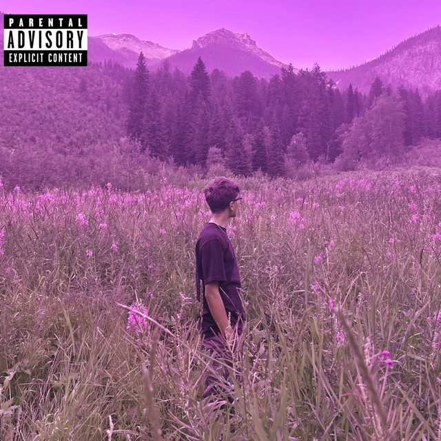 NOT ENOUGH cover art