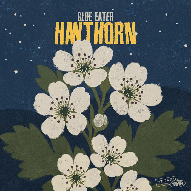 Hawthorn cover art
