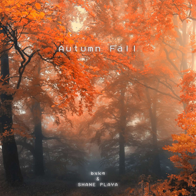 CD　14曲 05 AUTUMN　希少