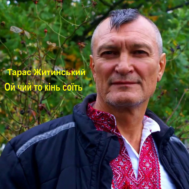 Обкладинка: Ой чий то кінь стоїть — Тарас Житинський