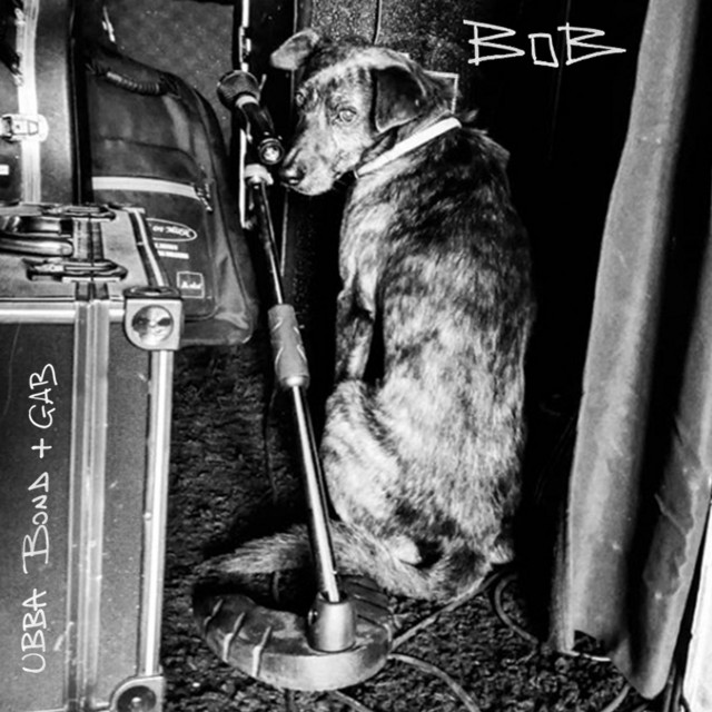 Bob cover art