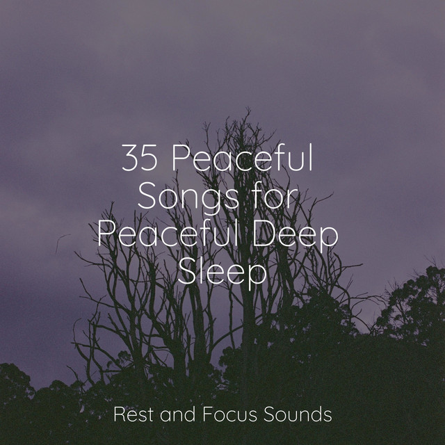 35 Peaceful Songs for Peaceful Deep Sleep - Album by Tranquil Music ...