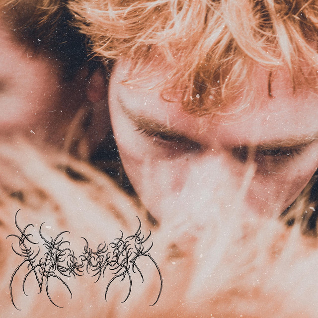 Velour cover art