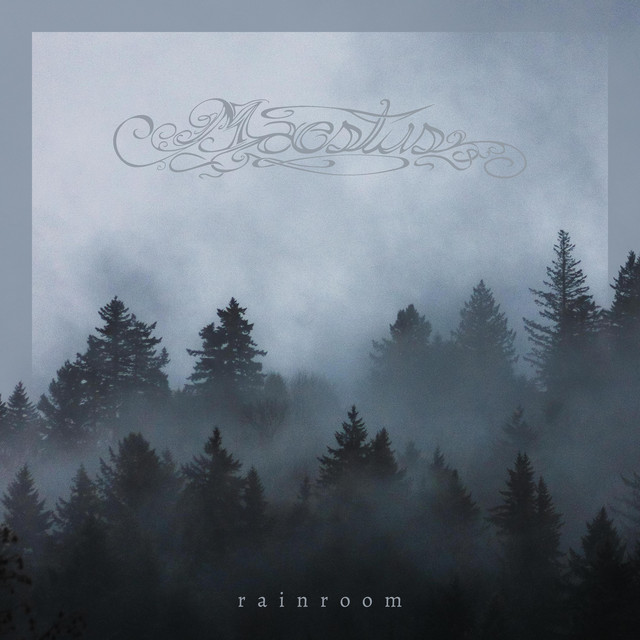 Rainroom cover