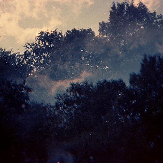 A Need for Dissolution cover art
