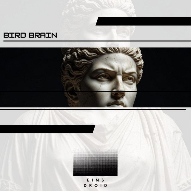 Pochette du titre Binary Ghost