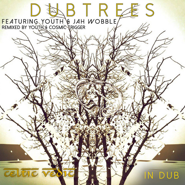 Celtic Vedic In Dub cover art
