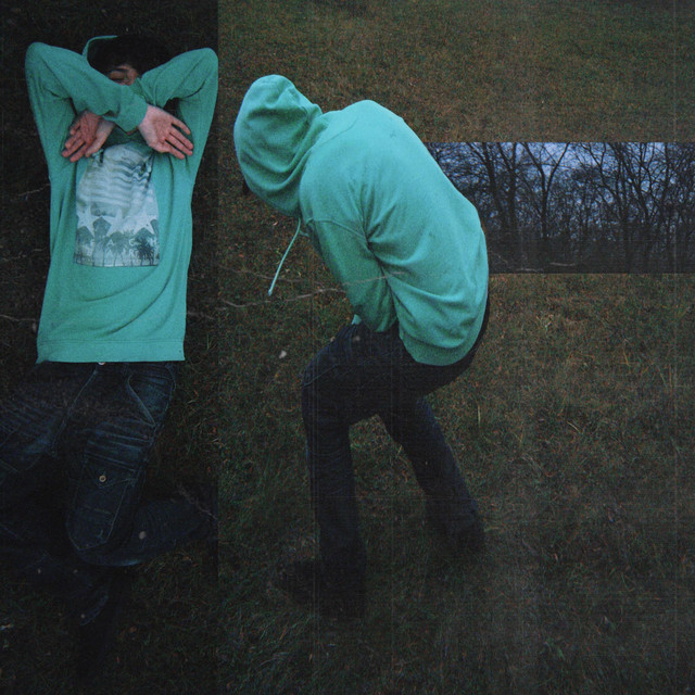 denevér cover art