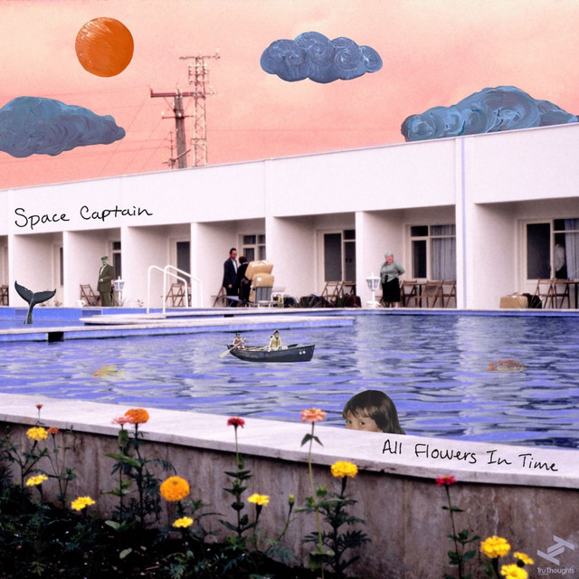 All Flowers in Time cover art