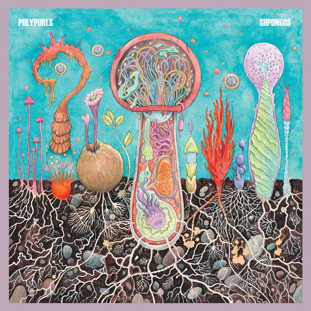 Shpongos cover art
