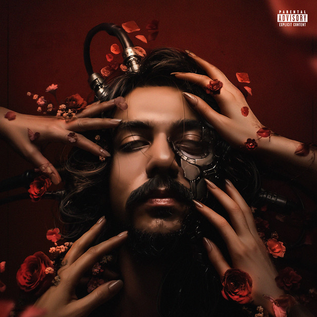 Pal Jo Baaki Hai cover art