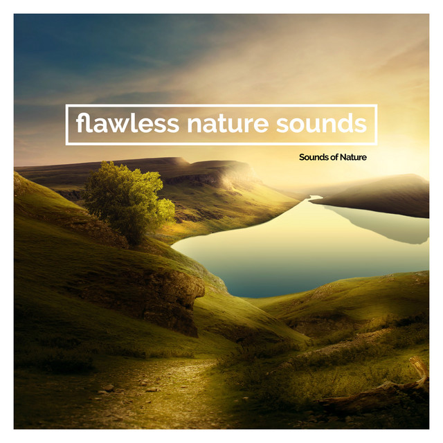 Flawless Nature Sounds - Album by Sounds Of Nature | Spotify