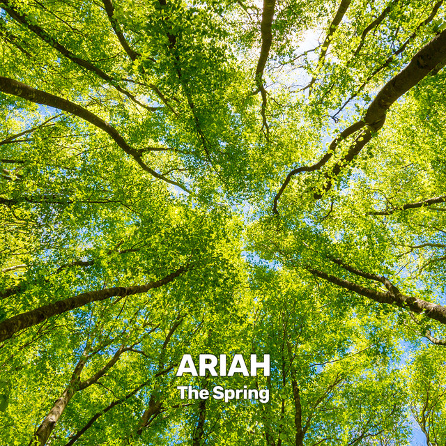 The Spring cover