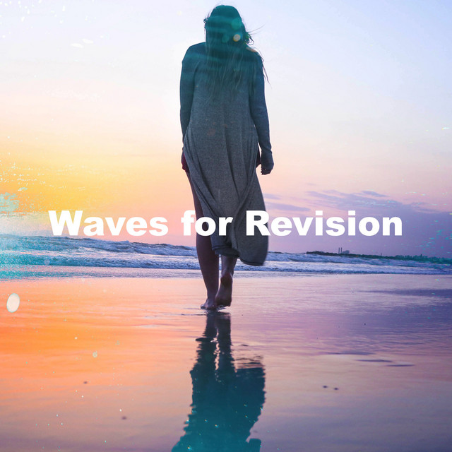 Waves for Revision cover art