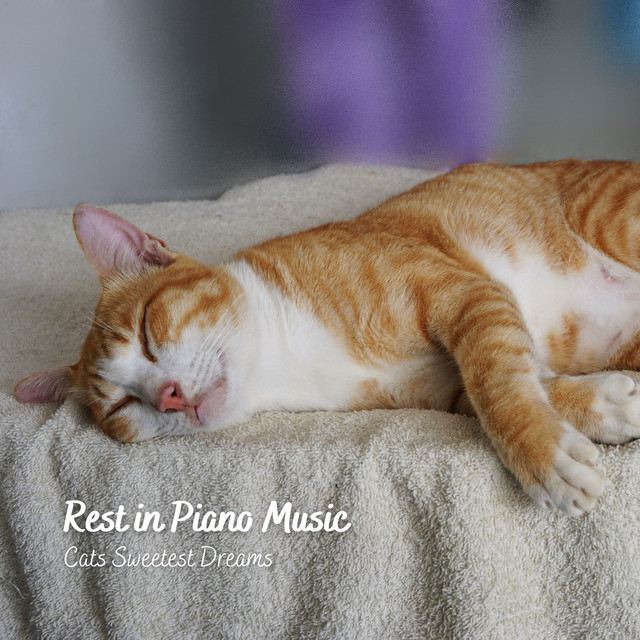 Rest in Piano Music: Cats Sweetest Dreams cover art