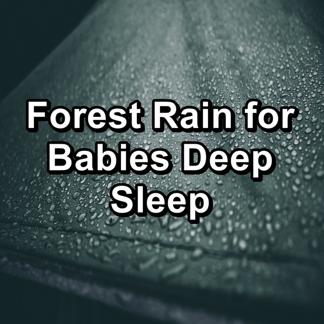 Forest Rain for Babies Deep Sleep cover art