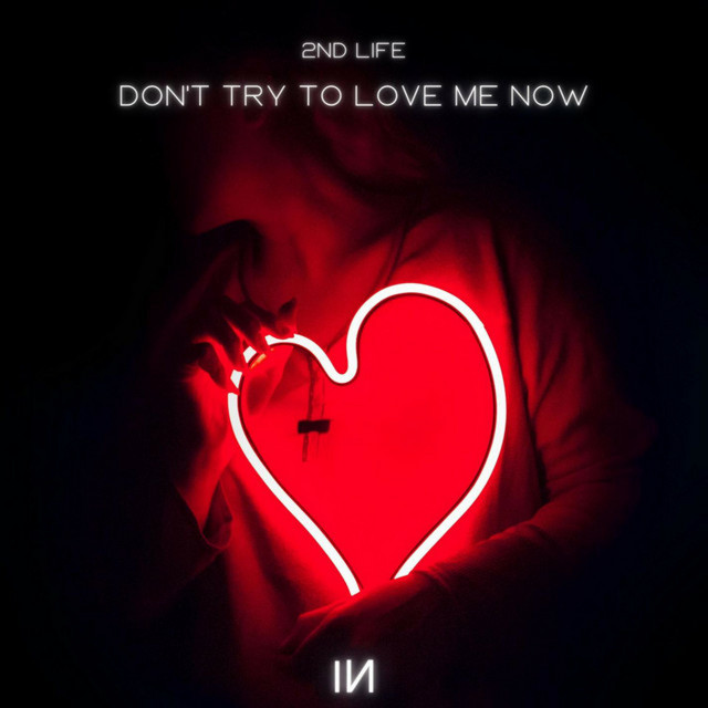 Don't Try To Love Me Now cover art
