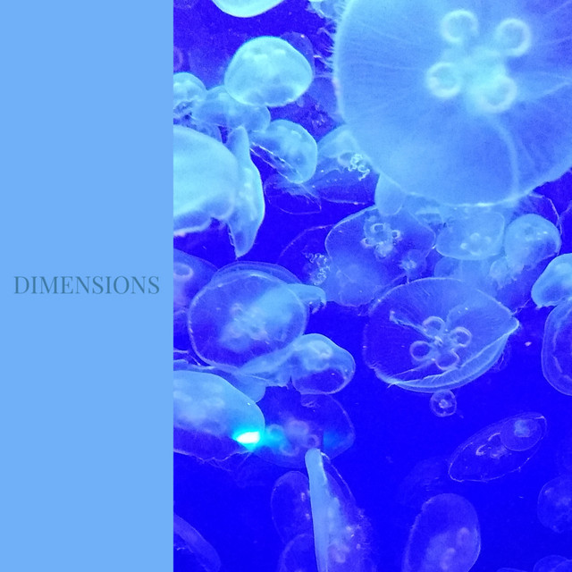 Caught in the Undertow cover art