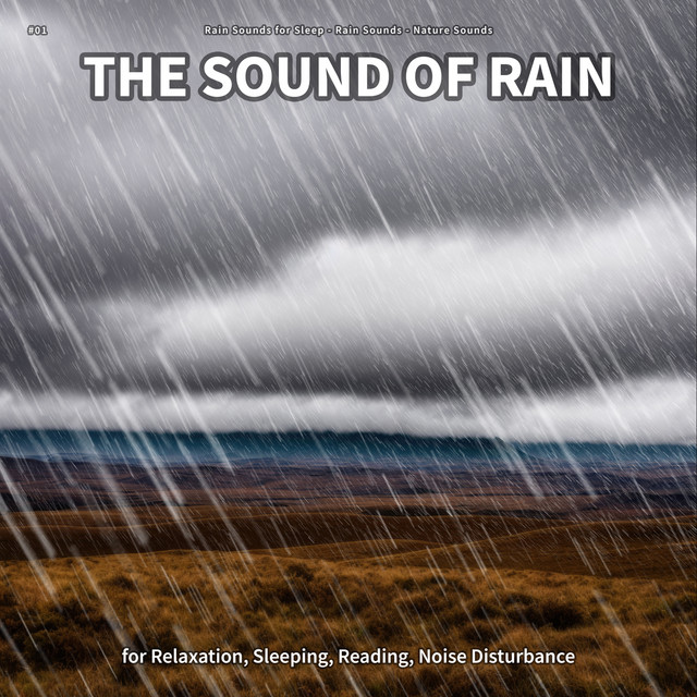 #01 The Sound of Rain for Relaxation, Sleeping, Reading, Noise Disturbance cover art