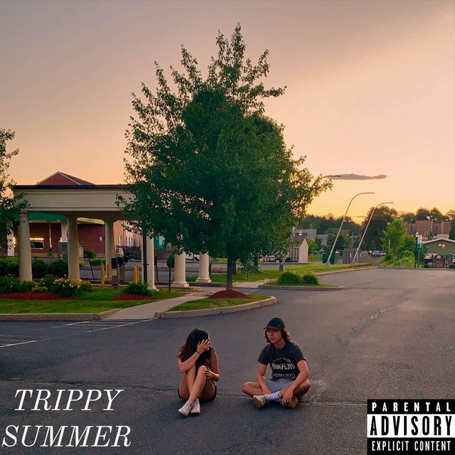 Trippy Summer cover art