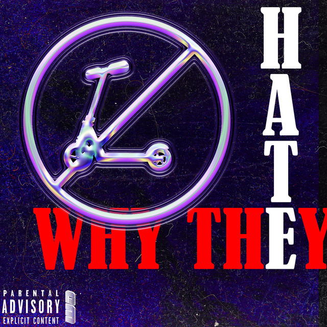 Why They Hate cover art