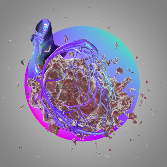 Boreal cover art