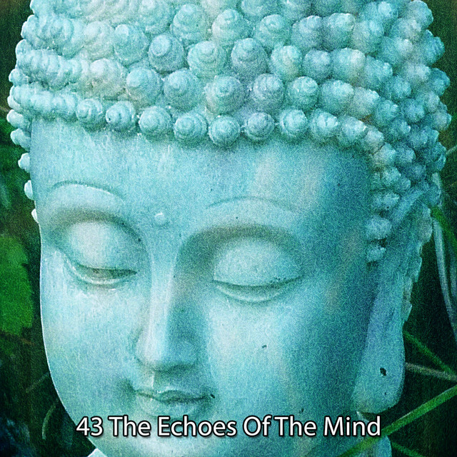 43 The Echoes Of The Mind cover art