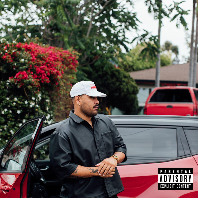 S D PLAYER cover art