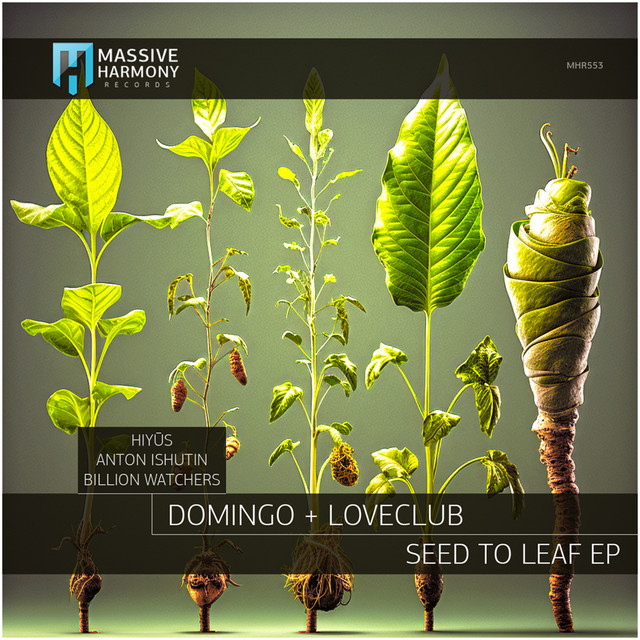 Seed to Leaf cover art