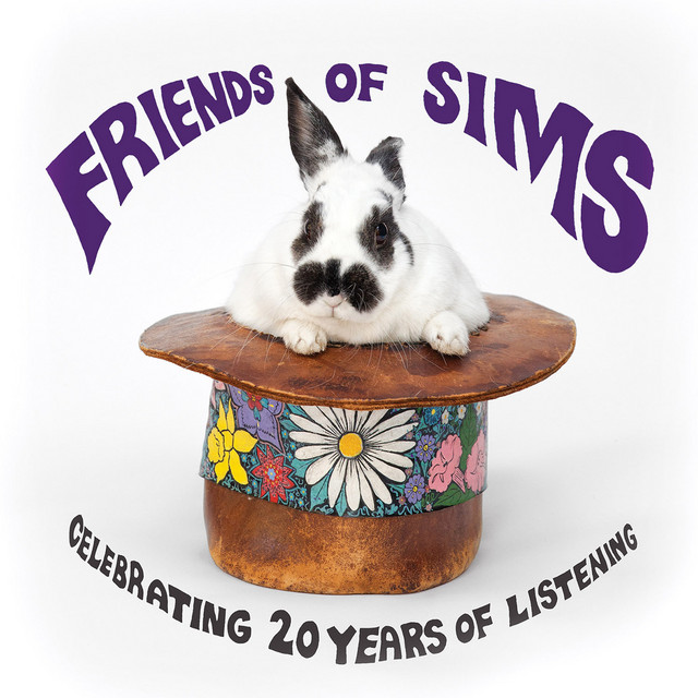 Friends of Sims cover art