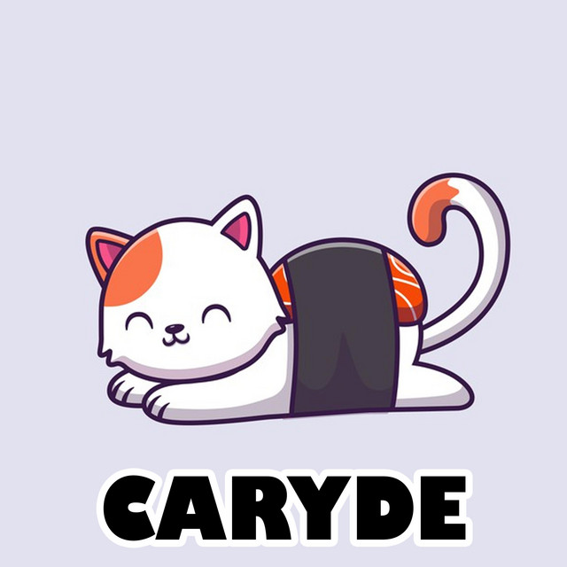 La Betise Du Chat Song By Caryde Spotify