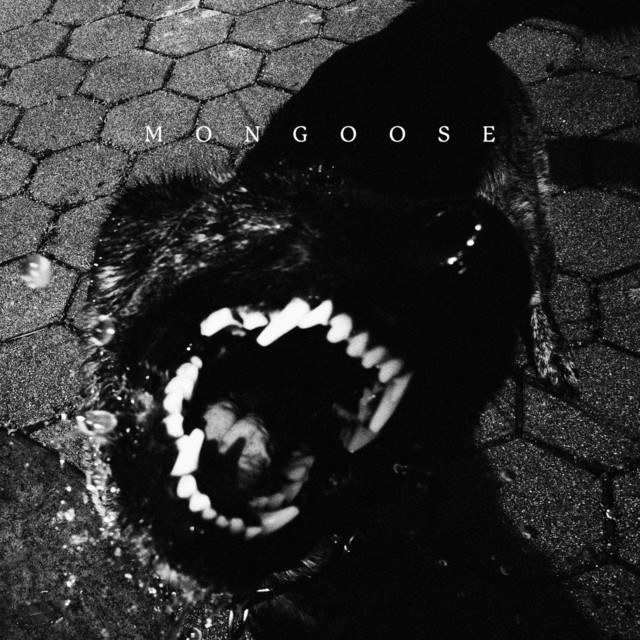 MONGOOSE cover art