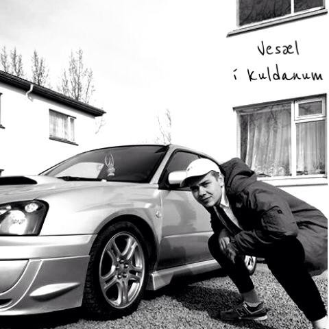 Vesæl Í Kuldanum cover art