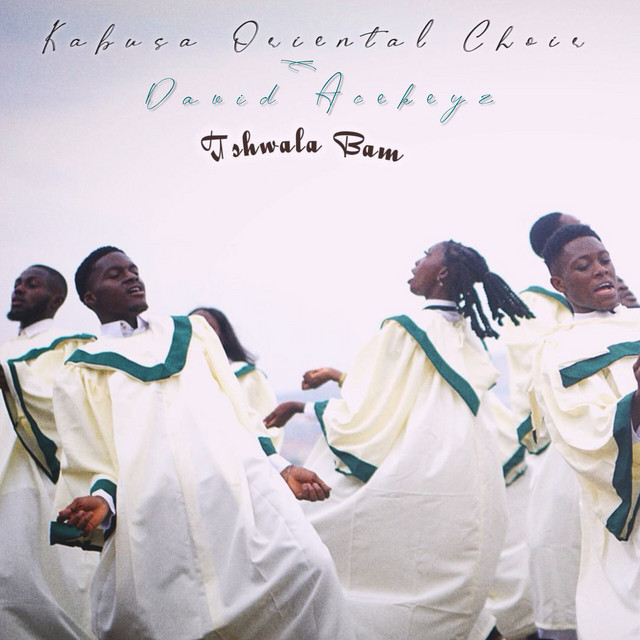Tshwala Bam cover art
