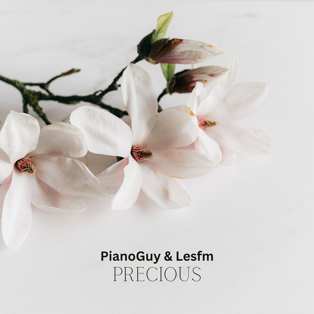 Cover art: Precious — Lesfm