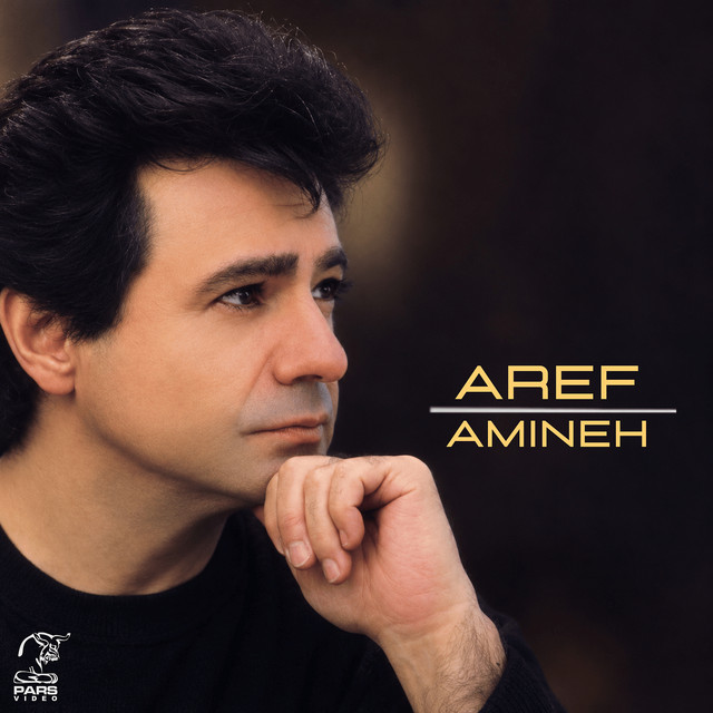 Amineh cover