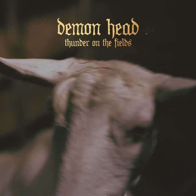 Thunder On the Fields cover art