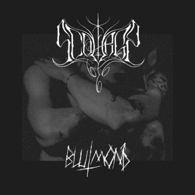 Blutmond cover